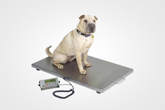 Animal Weighing Scale