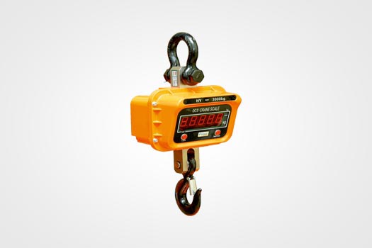 Crane Scales