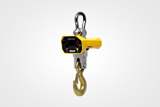 Crane Scale Standard